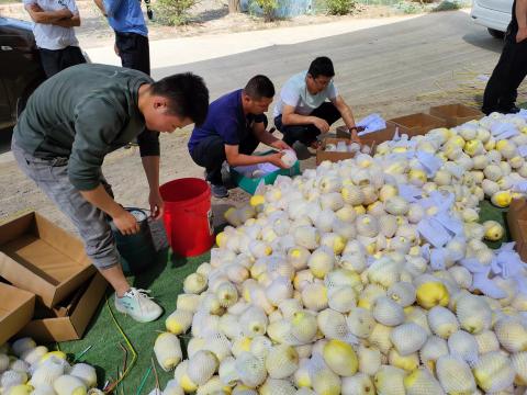 3a2dd909402f48b08b7978f1ae37349a_s