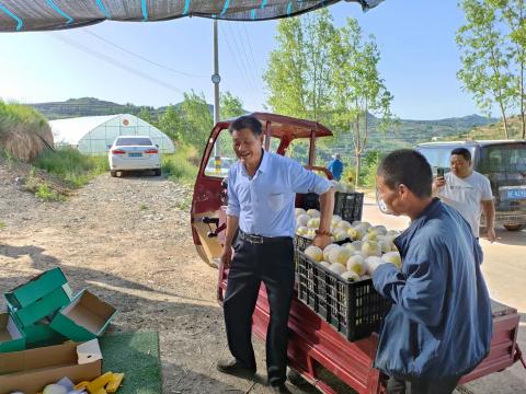 7fb1176ea52a4e5eb69a3d515385d239_s