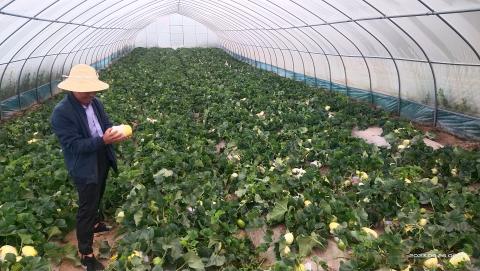 efa28fc52a394184aea3715be695ba29_s