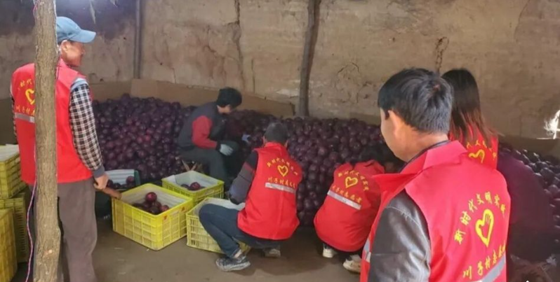 天水秦安莲花镇:党建引领多维发力 苹果产销迎“丰收答卷”_fororder_wechat_2025-10-17_113453_439