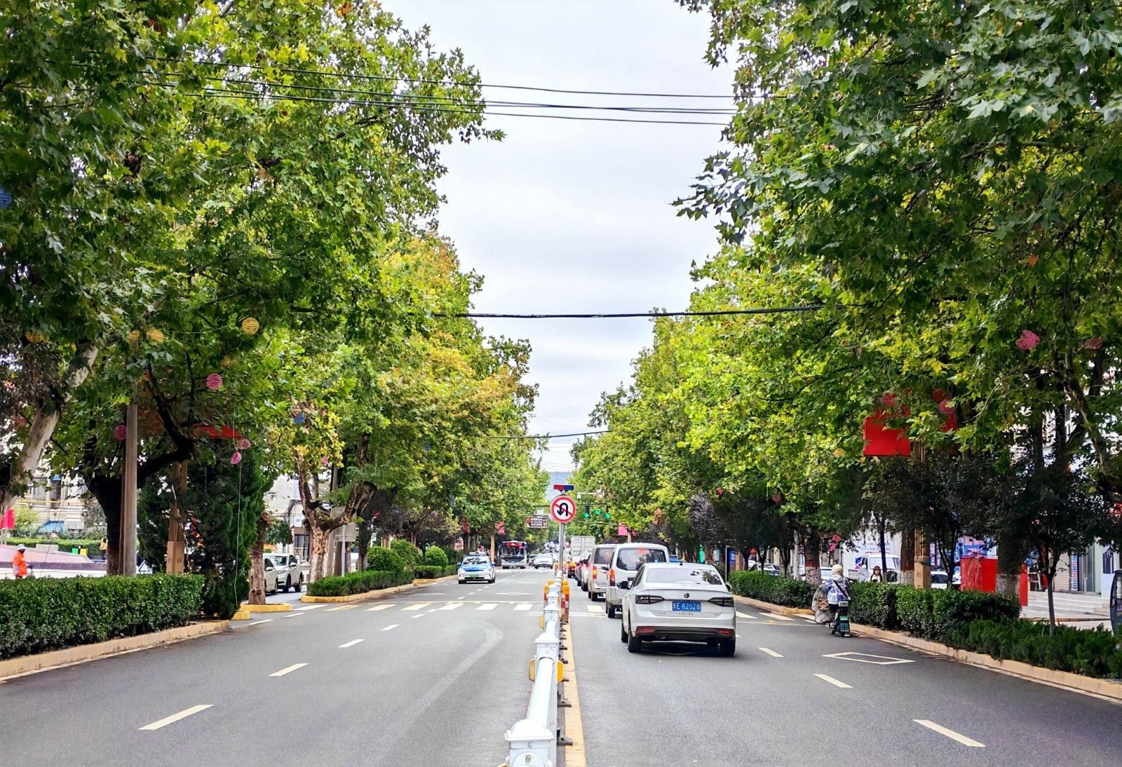 秦安:满城秋韵入画来_fororder_3