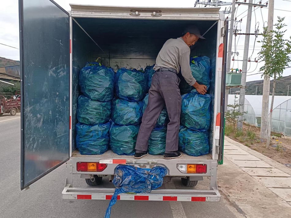 微信图片_20230926114407