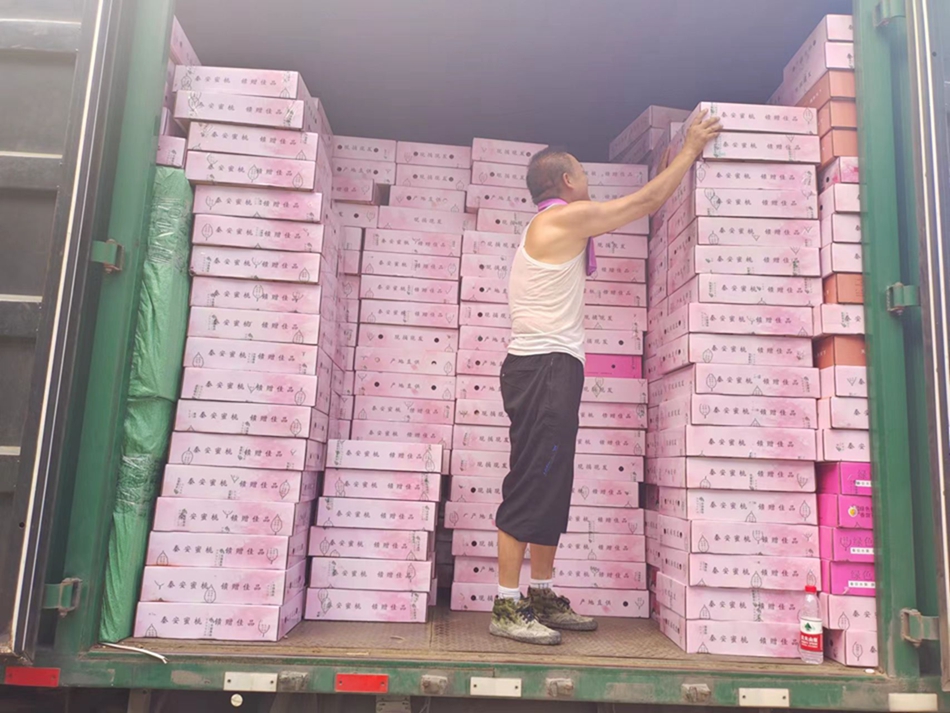 微信图片_20230811150639