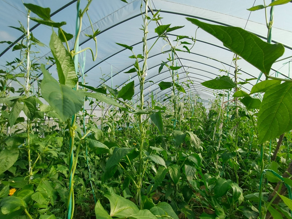 微信图片_20230926125330