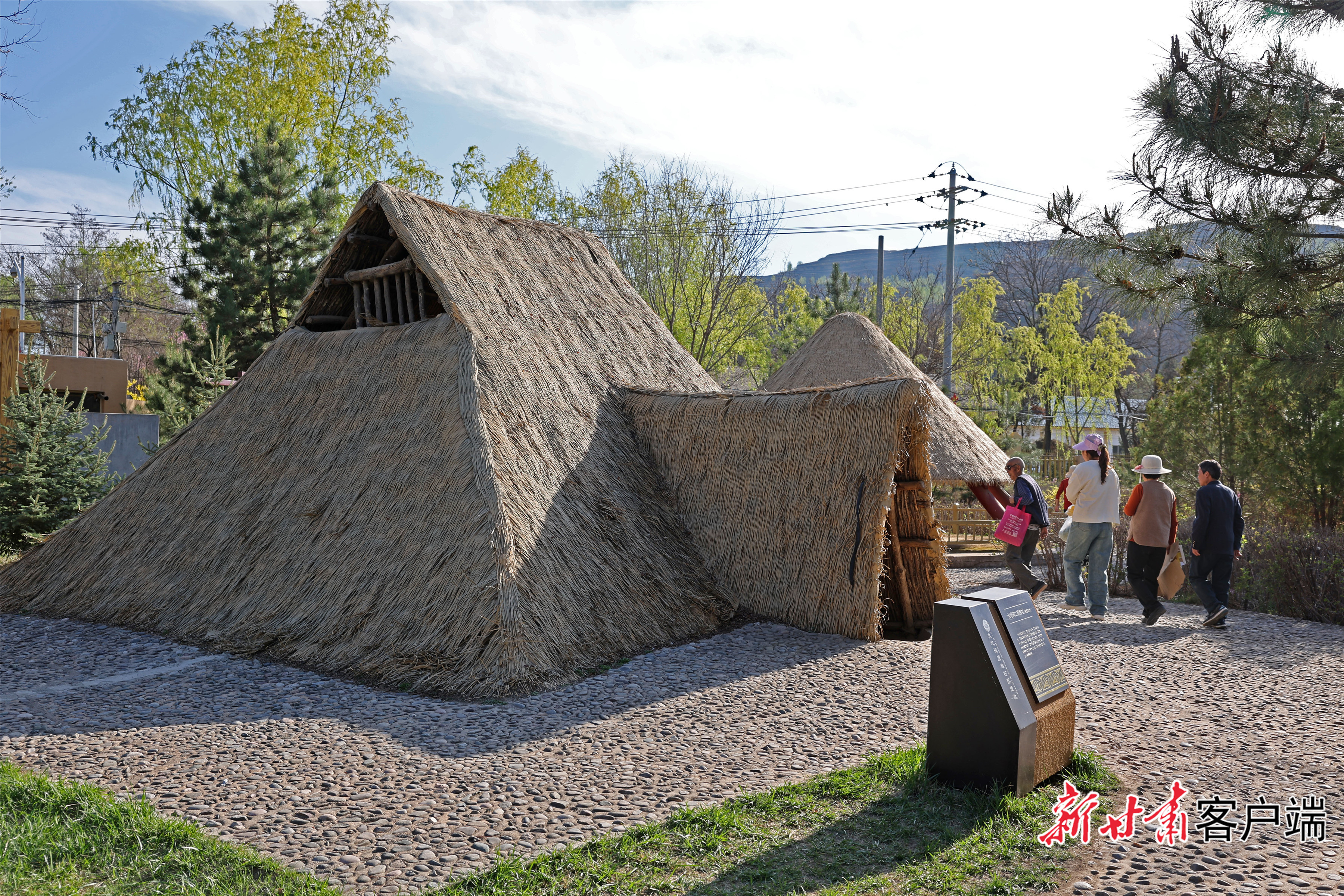 FZ007231941066_A4486329