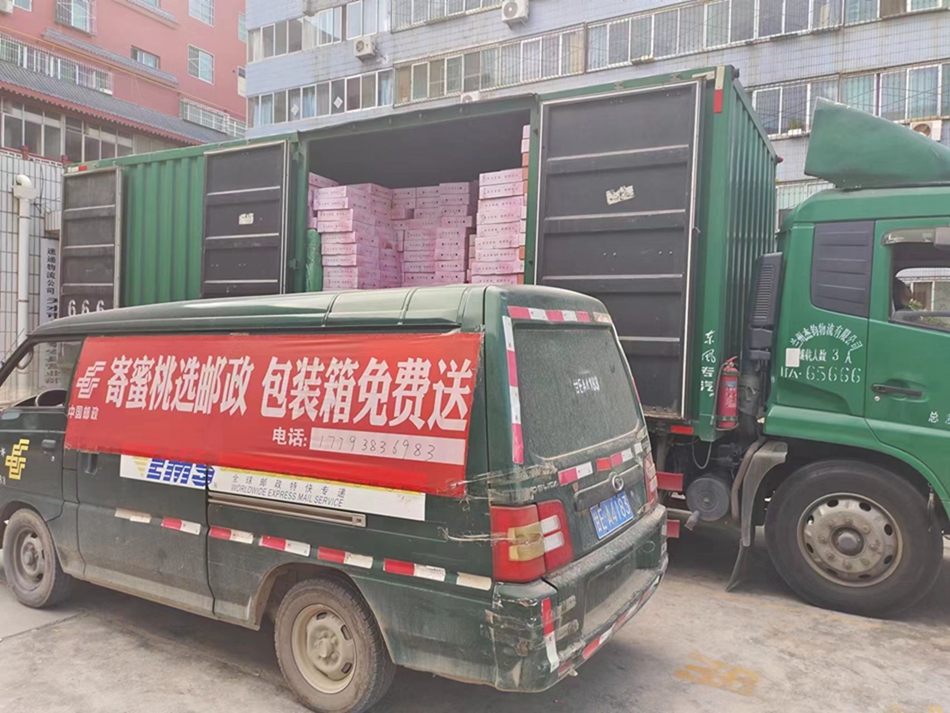 微信图片_20230811150630