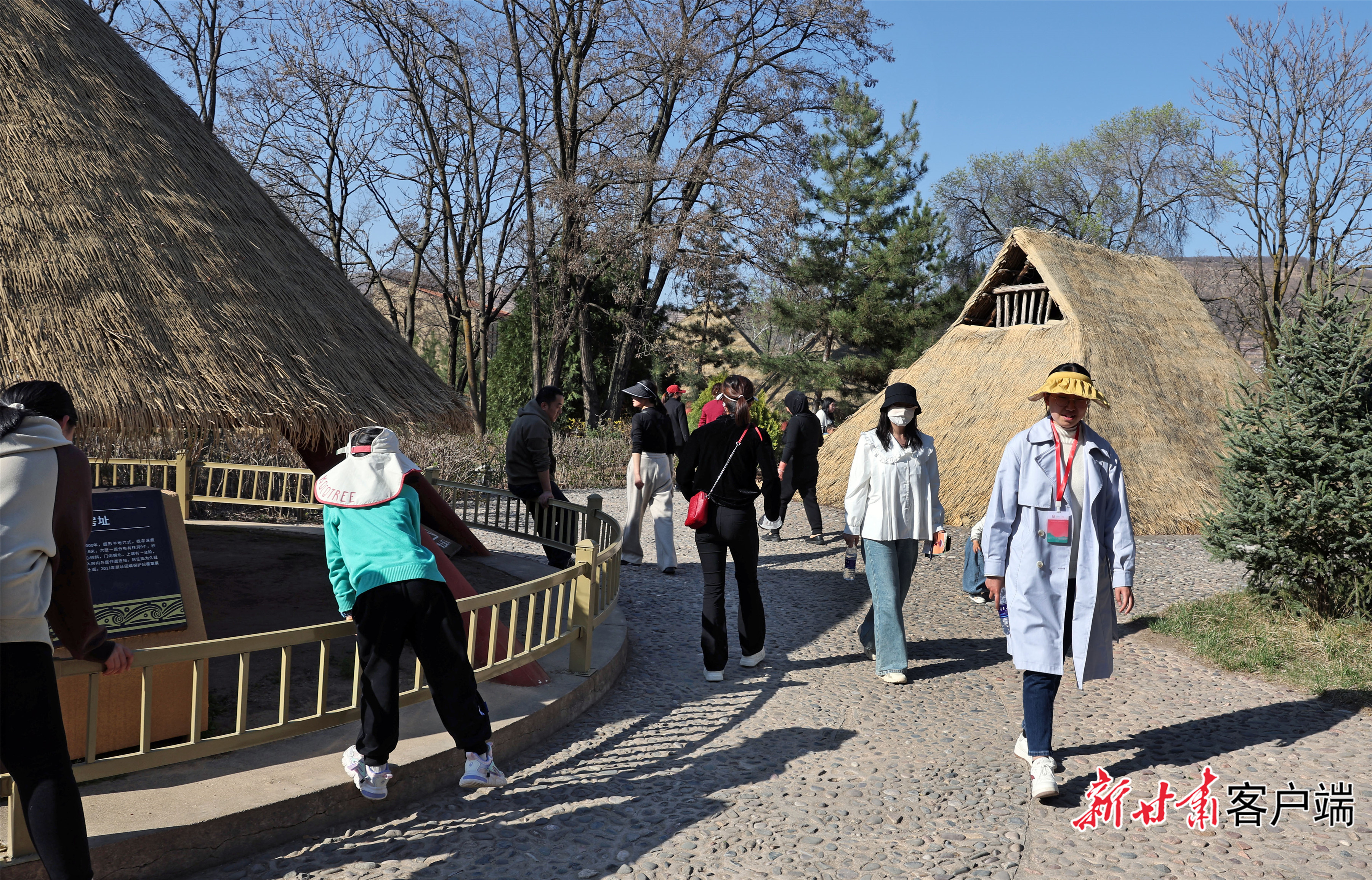 FZ007231941066_A4486324