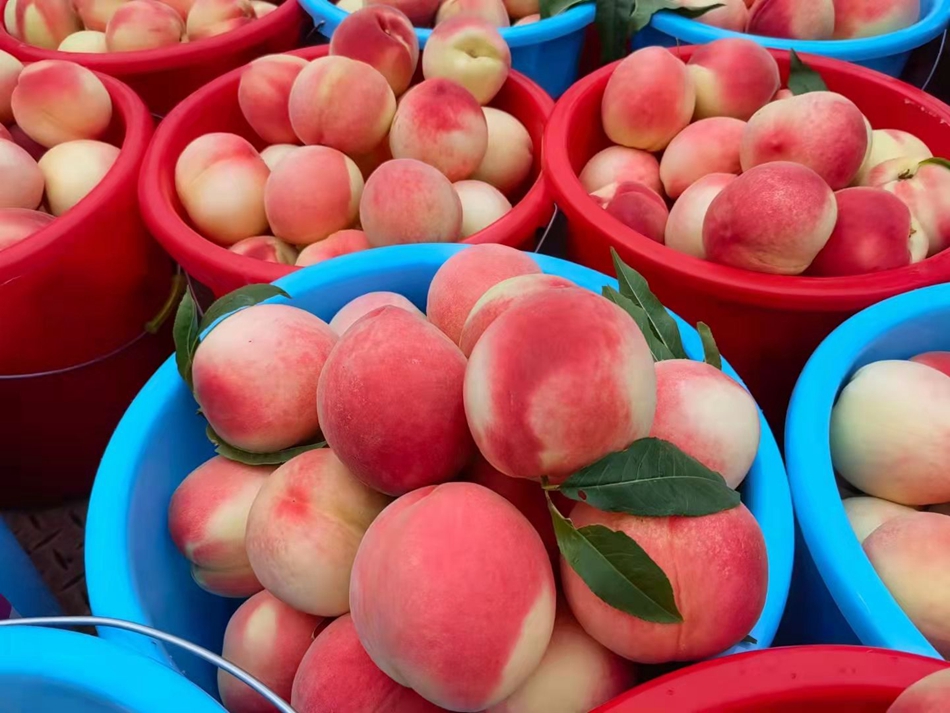 微信图片_20230818184249