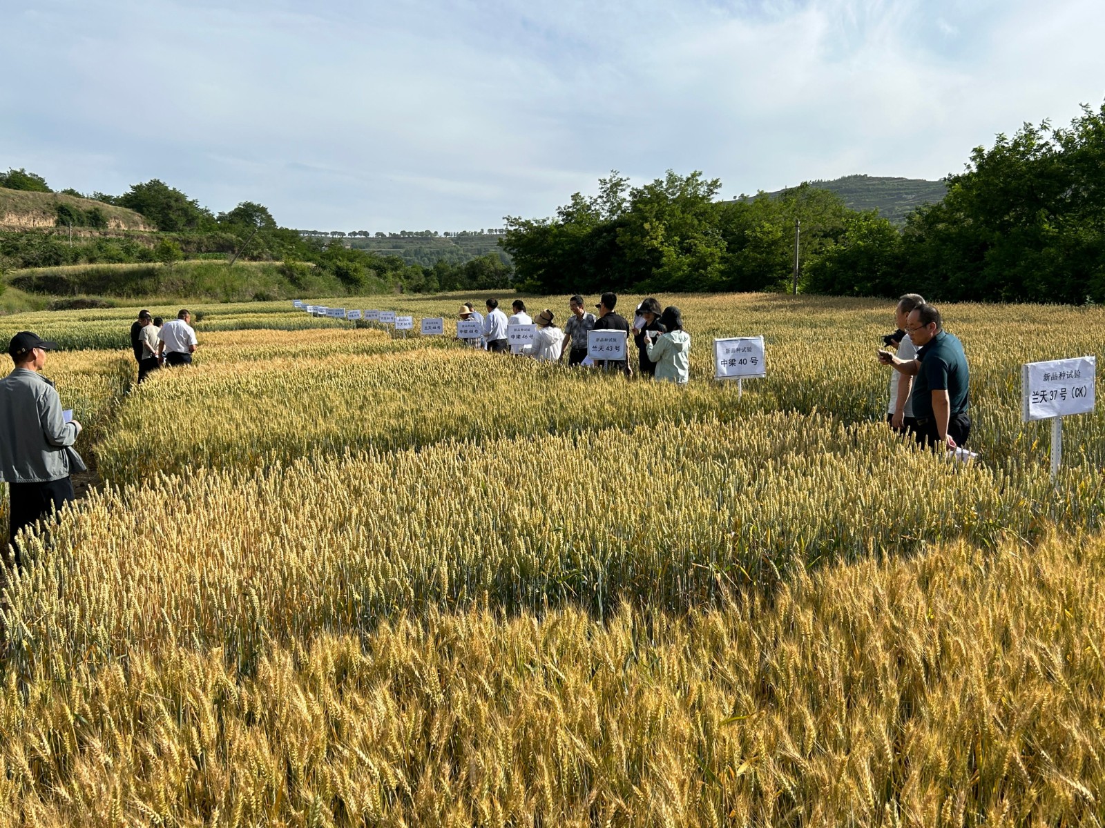 0c3fbe0f245eabb2a32905109ea327c