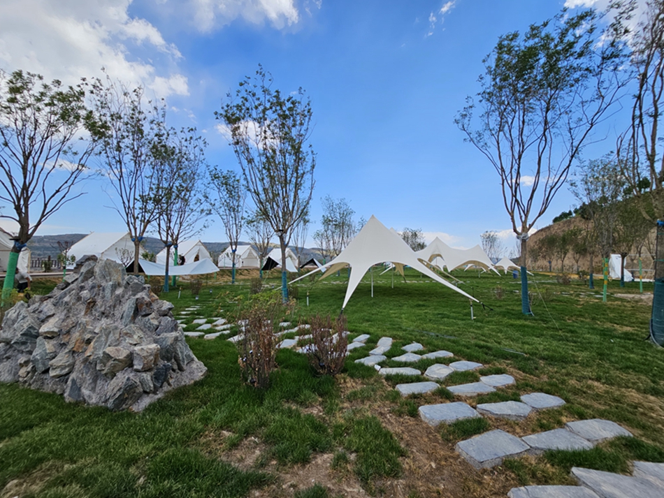 1695715958669015379.jpg 0303a7baeb213180cc14eadf0b9a7b1.jpg