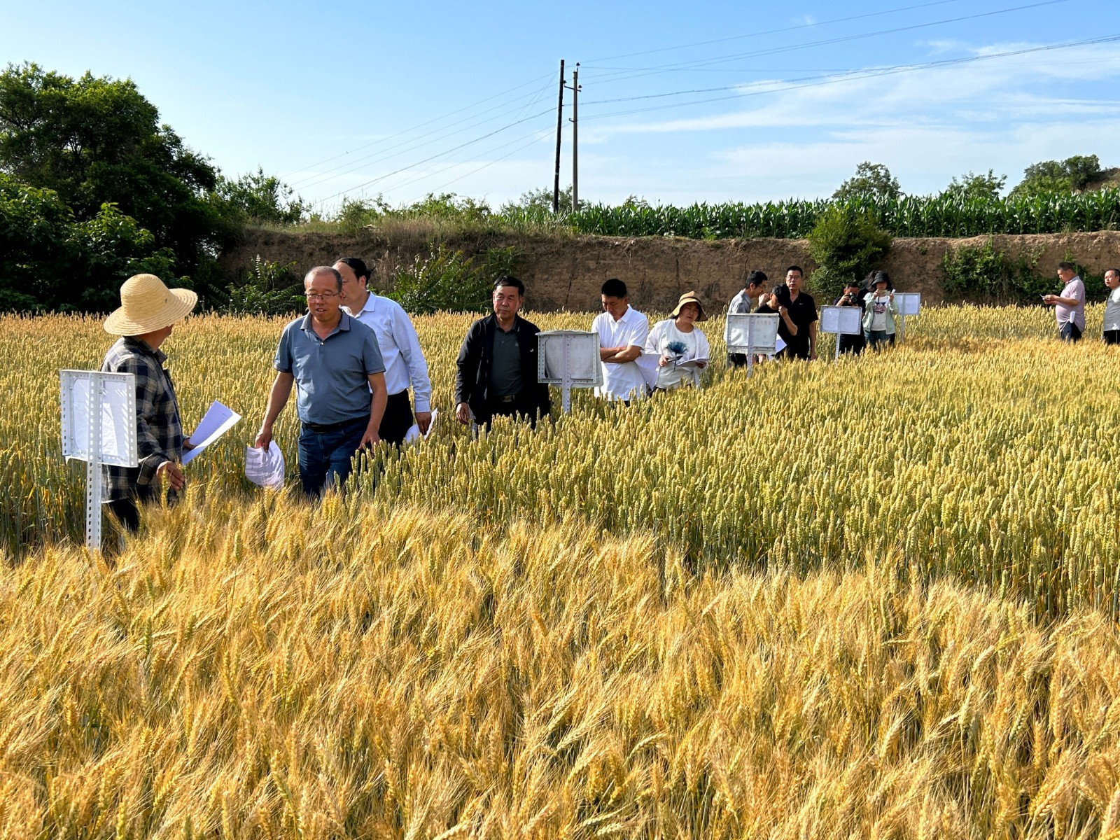 6812353356de0b804bf7c166abcce66