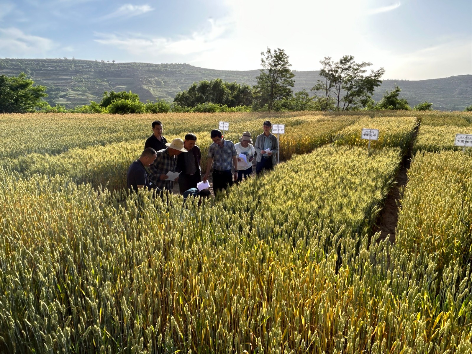 2402926f970234109063e23984c0c5a