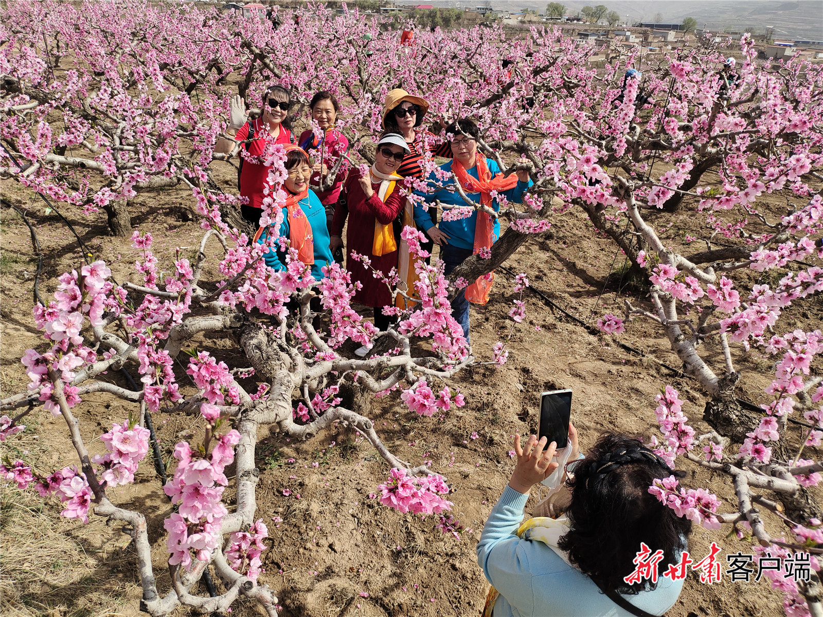 FZ100421833083_A3775186