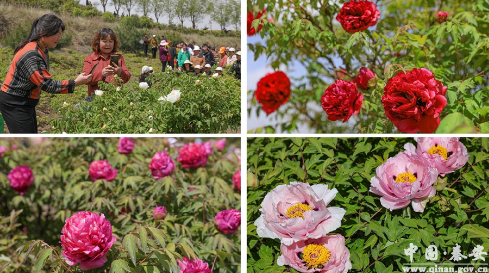 1683860146104033758.png image.png