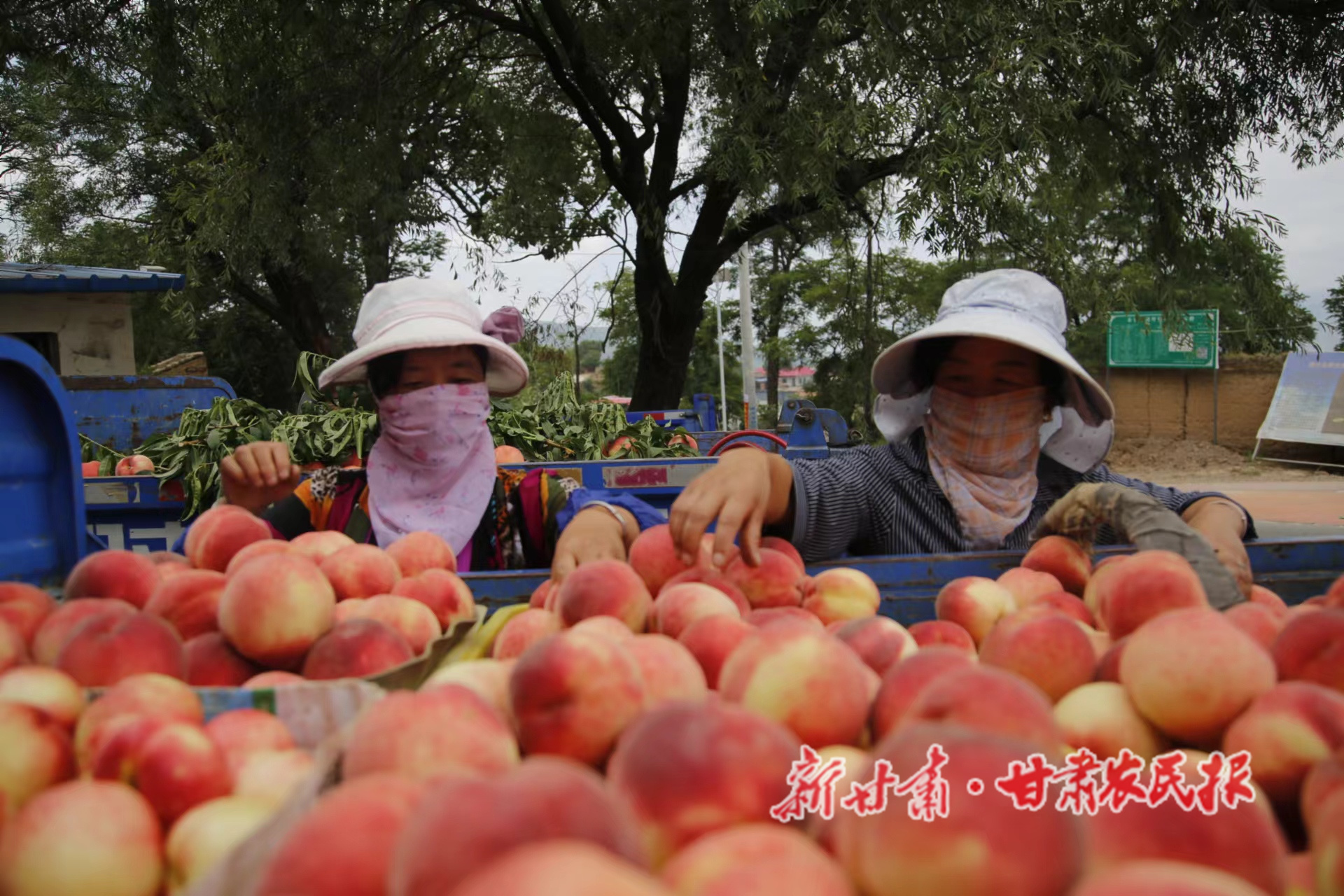 微信图片_20130101071730