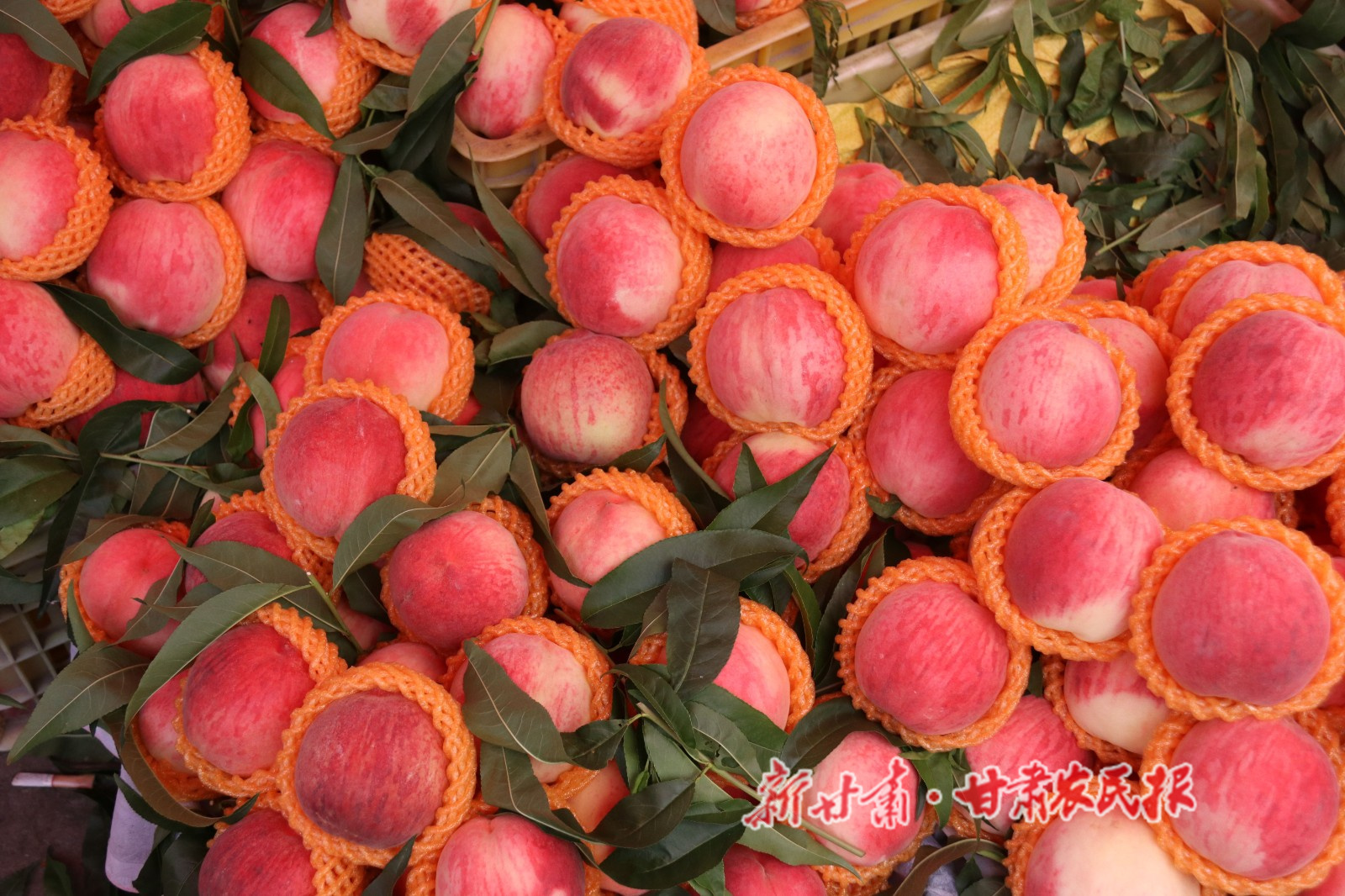 微信图片_20240703174414