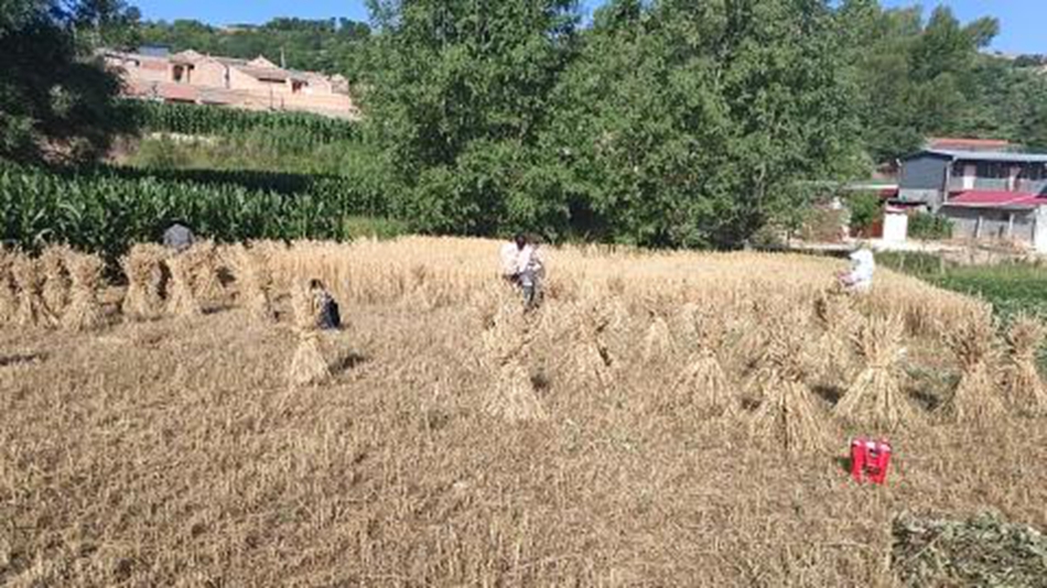 e42b3ef436b5412286045c3b31ef8975_s