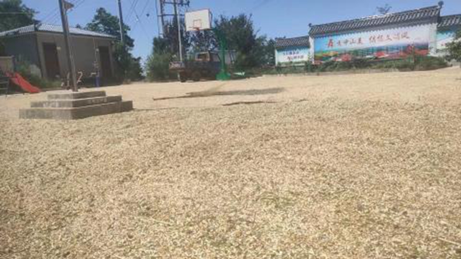 8228aa2e21cf489693be1e2986ccfe30_s