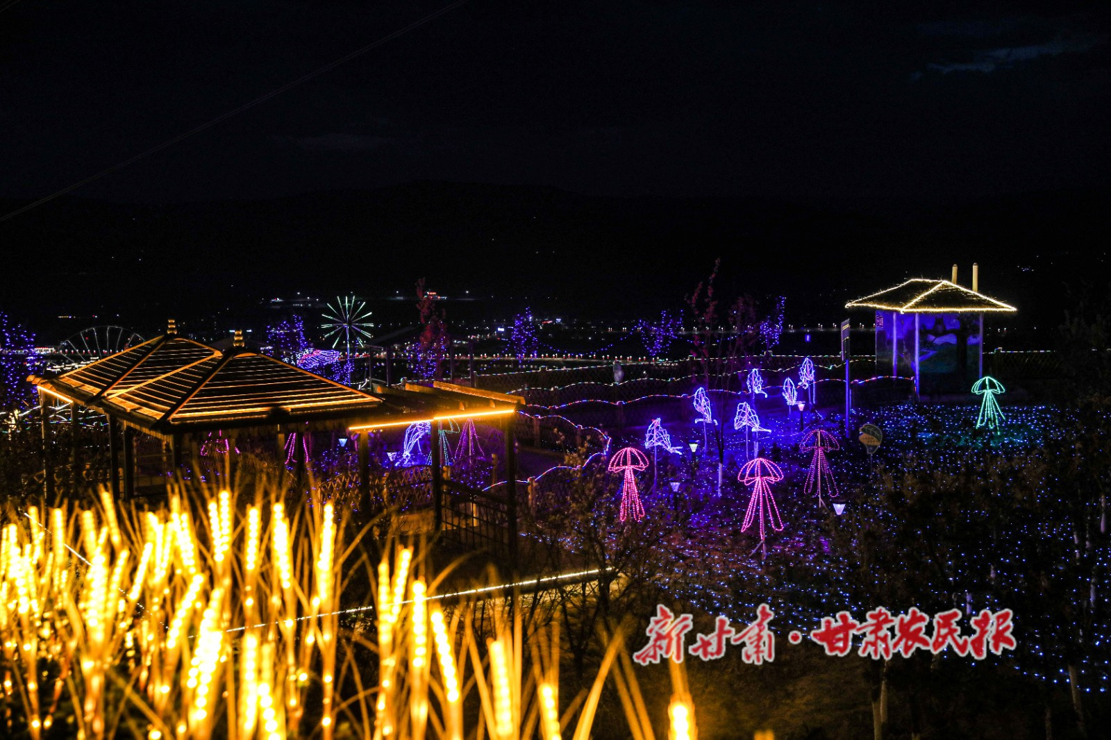 微信图片_20240618153007