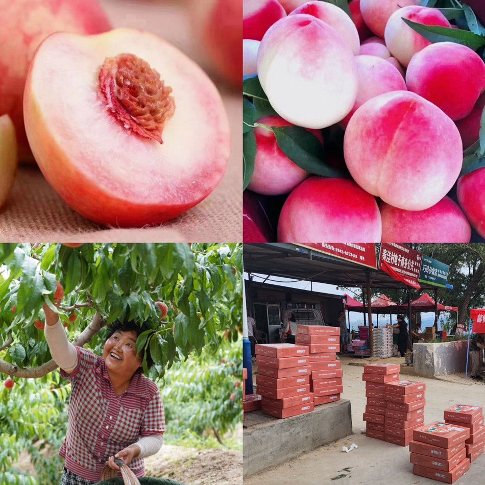 b9470d764bfe07fbafde5283a98acde