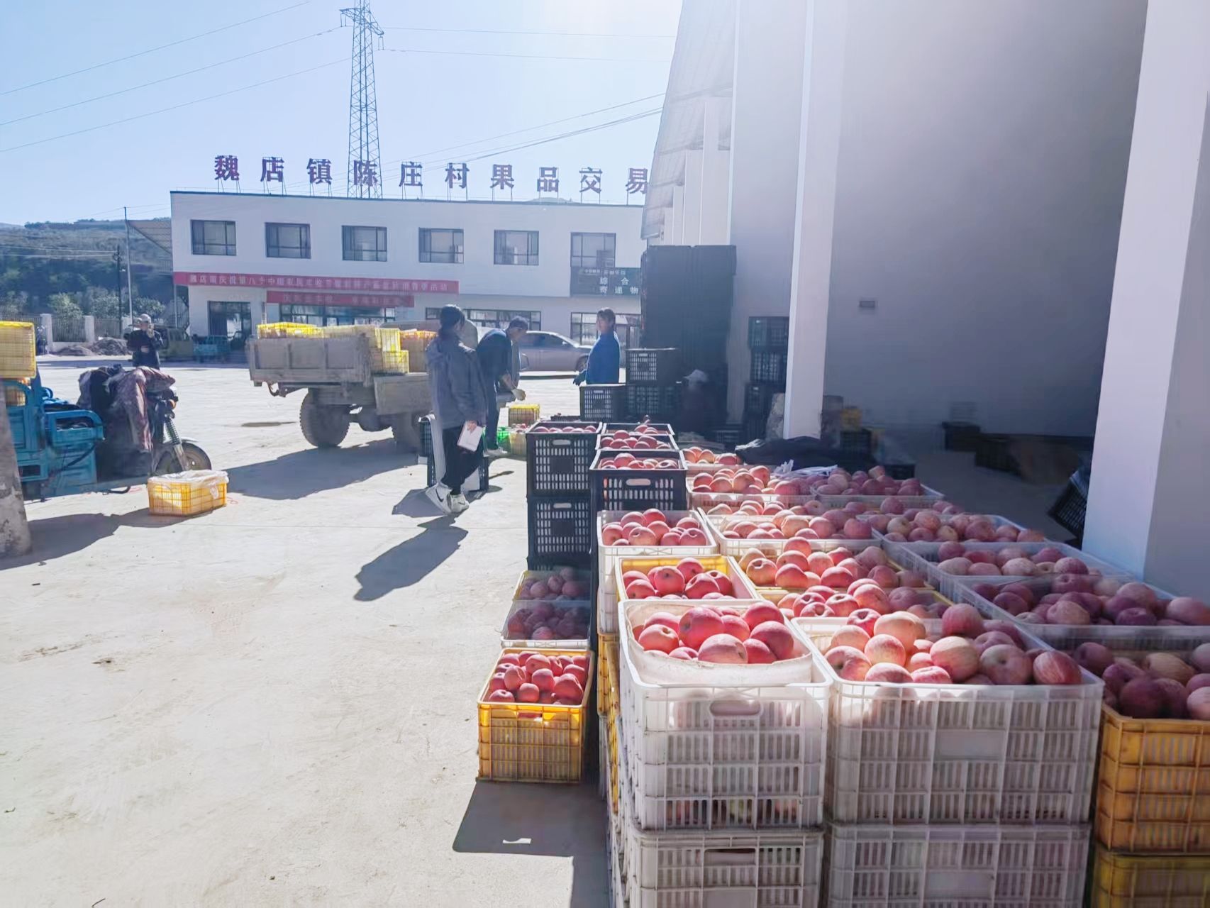 天水秦安魏店镇:强村公司激活产业新动能_fororder_(3)4