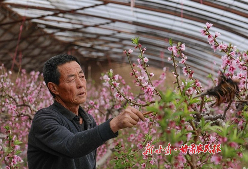 2401301510c5154174f8ecb617