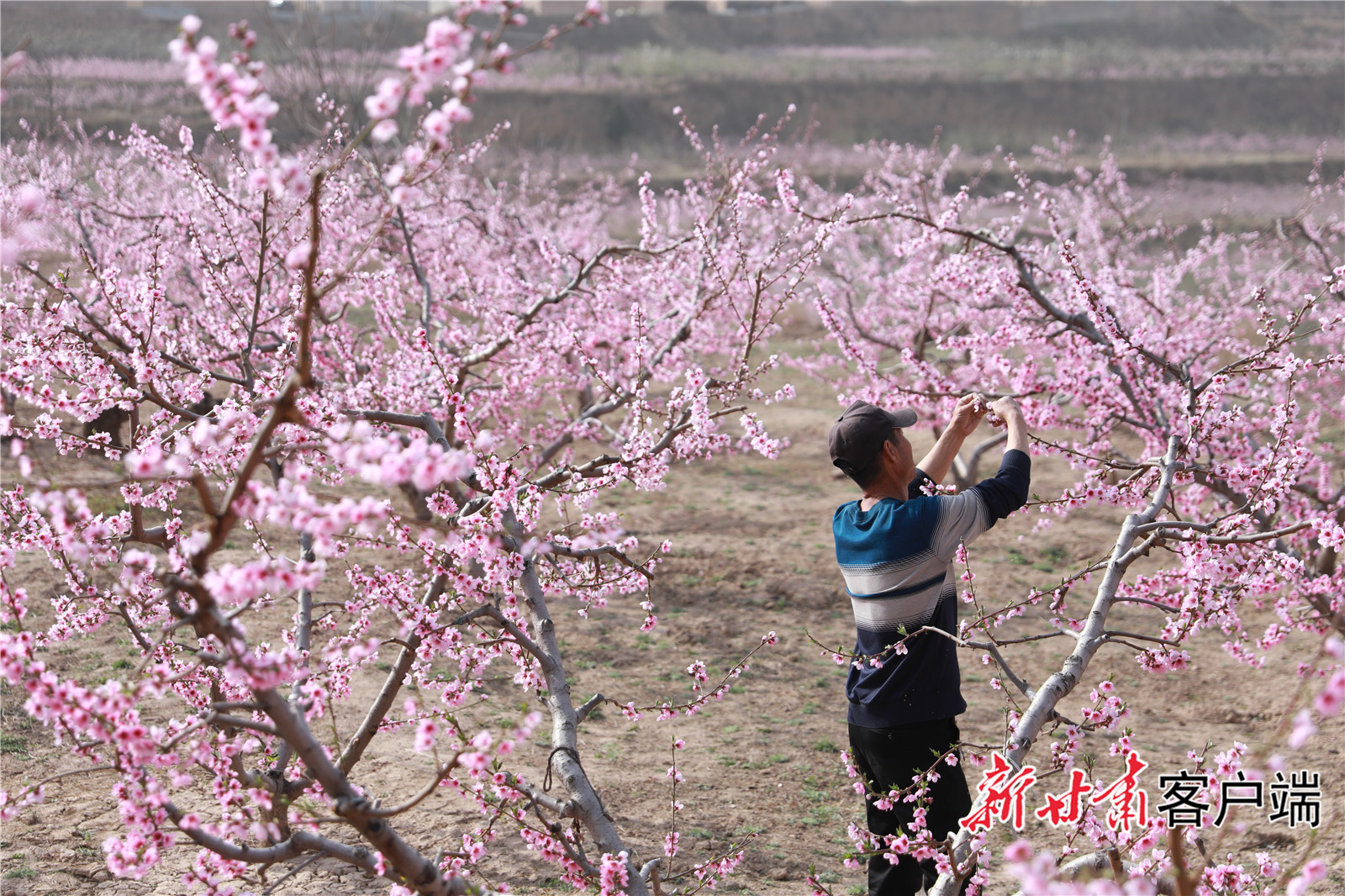 FZ007221808524_A3773735