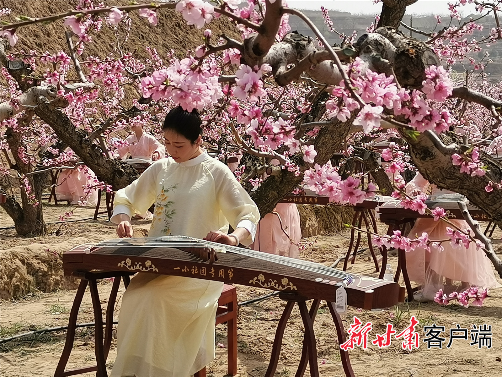 FZ007221808524_A3773739