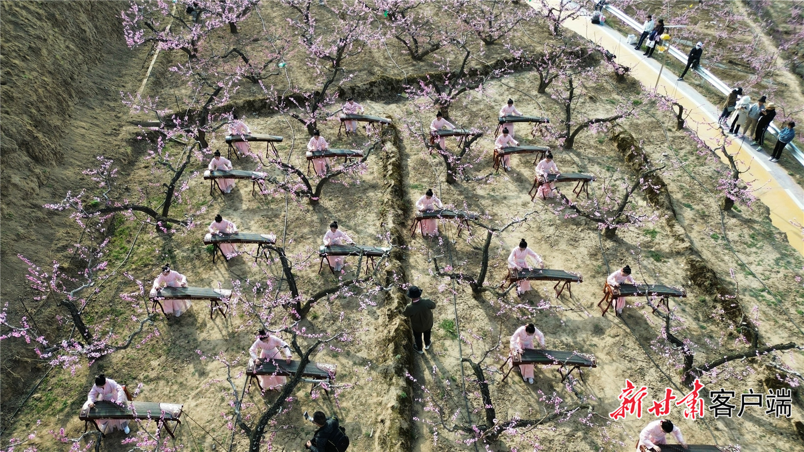 FZ007221808524_A3773734