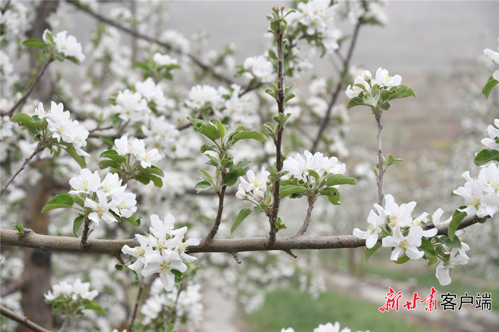 微信图片_20230509120040 微信图片_20230509120040.jpg