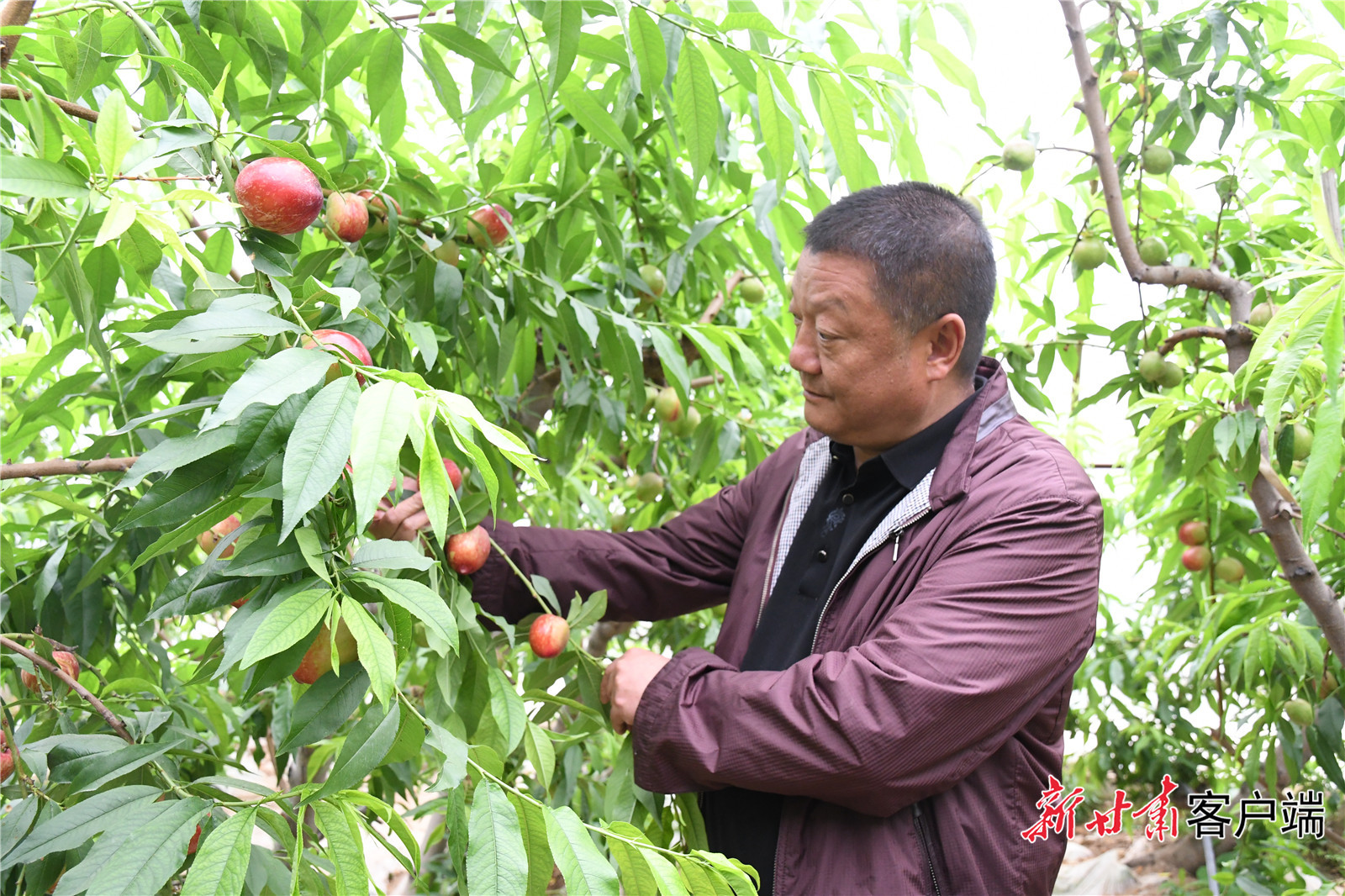 微信图片_20230509115429 微信图片_20230509115429.jpg