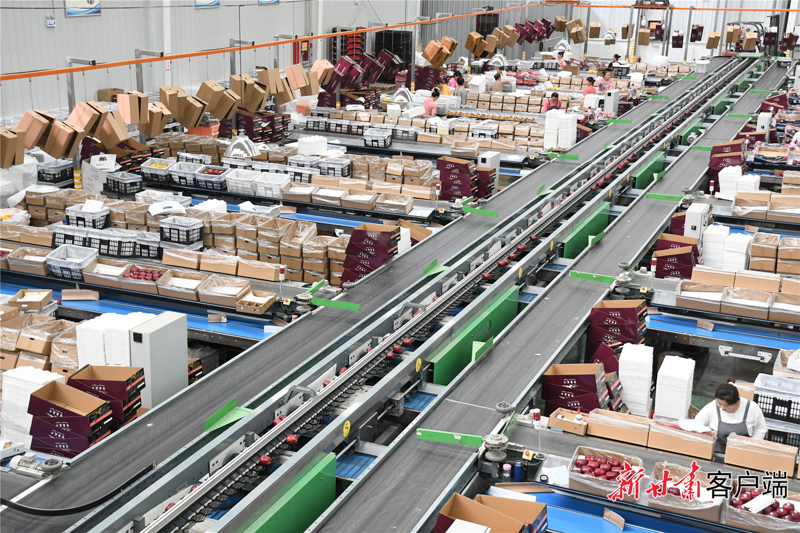 微信图片_20230509115531 微信图片_20230509115531.jpg