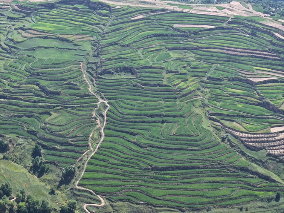 f5226c3d003d57d3cf1ff366389de2c