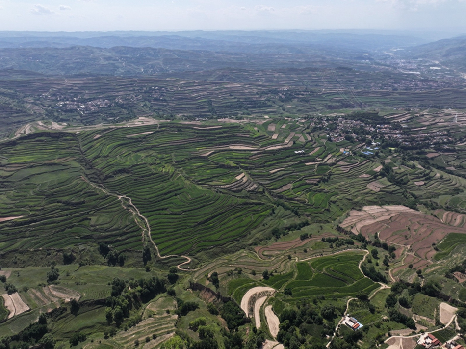 e1f9c0332ae88fb8e02d0bae12c8326