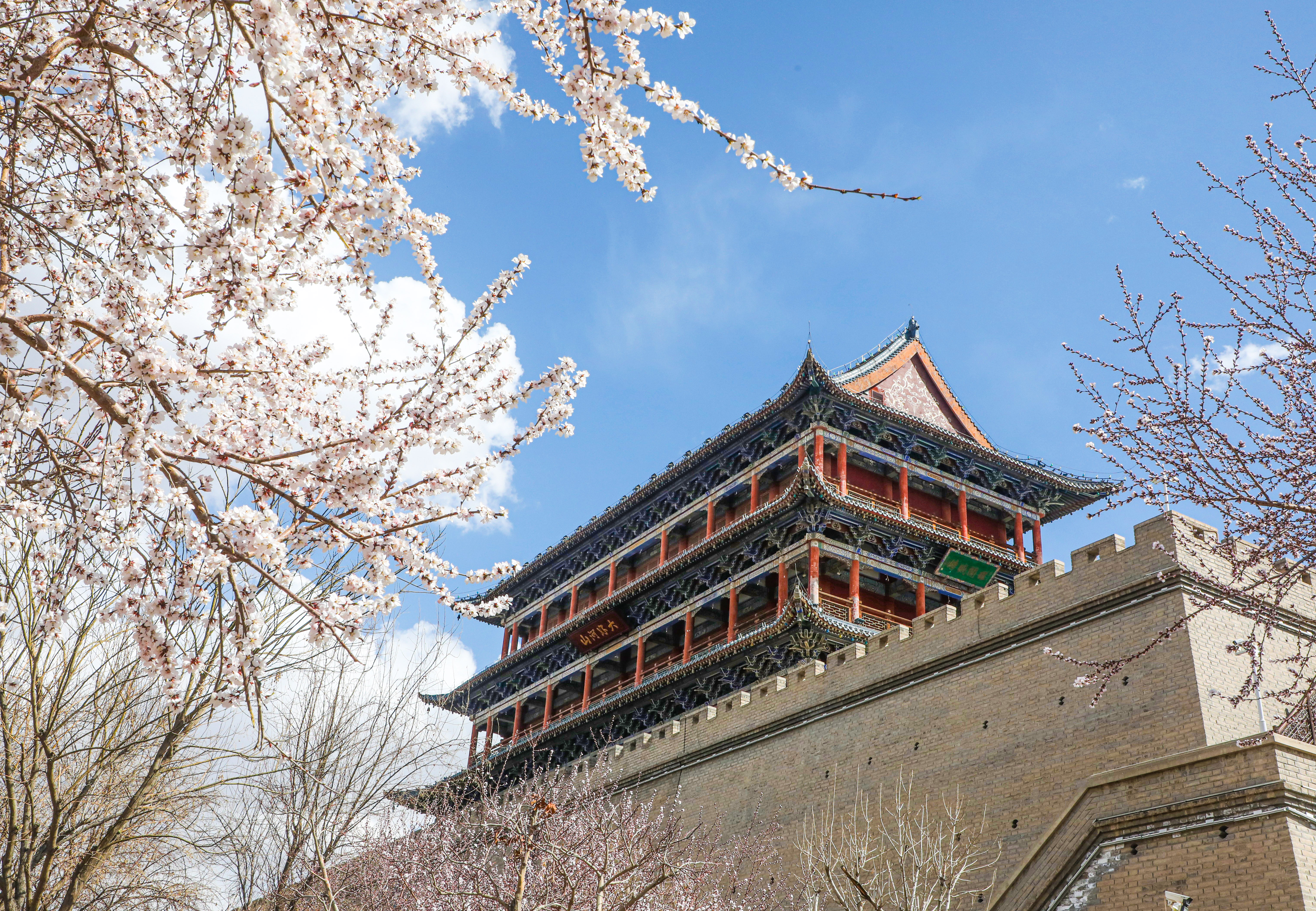 1711589800306059241.jpg 881bf15f578734cf2c35574a10ce9f1b_291e6332-698d-4615-944a-121bc2bd2e77.jpg