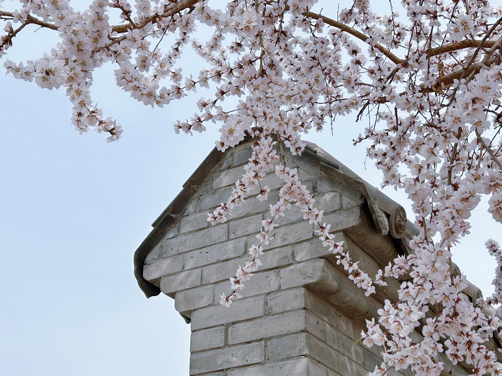 1711592580558068393.jpg 1e050268846617457605652e2c5af137_1711592414764021651_h=1200&w=1600.jpg