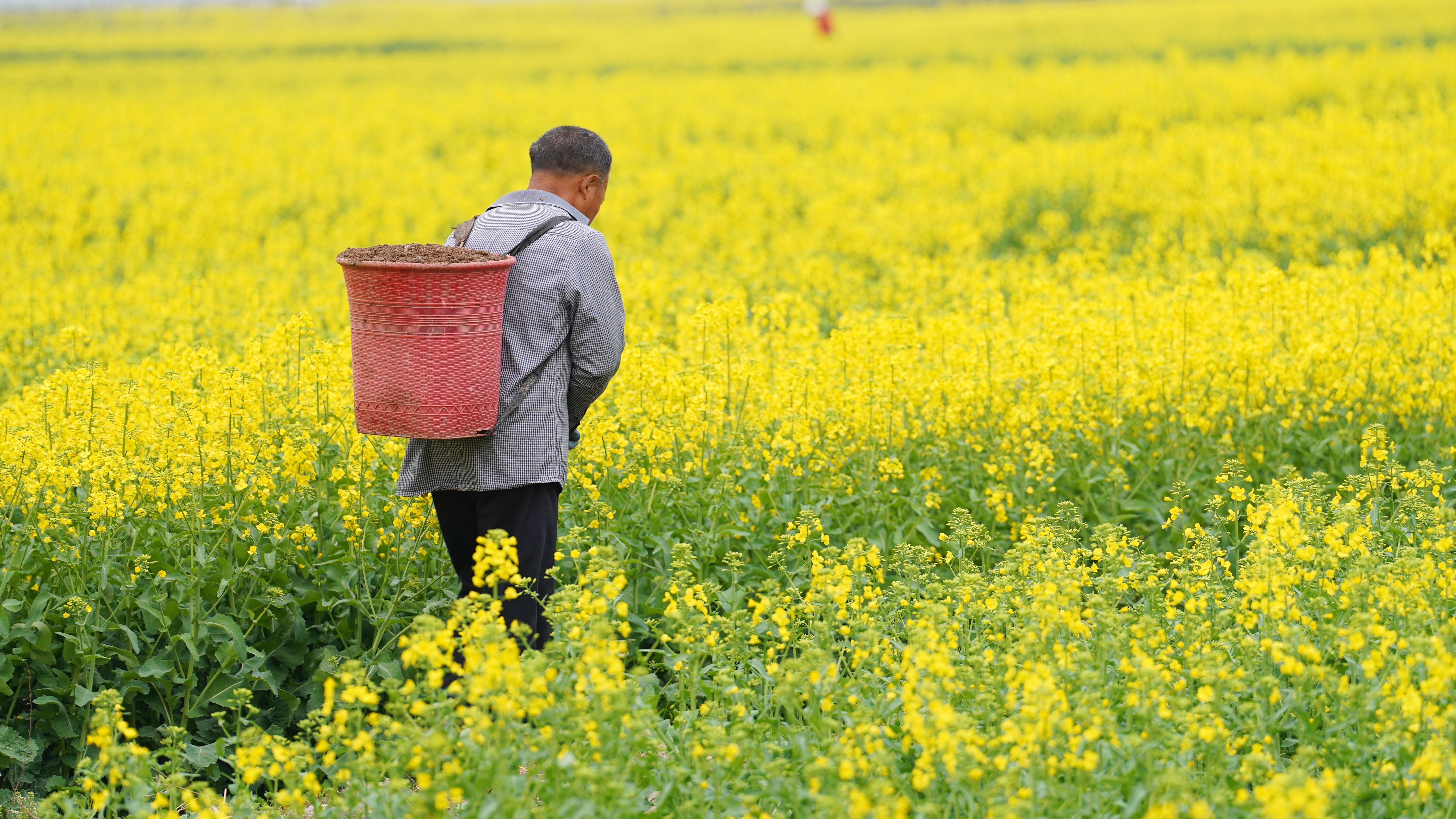 1711595264590073652.jpg a32fa250afec1d3c30a5433b79de439.jpg