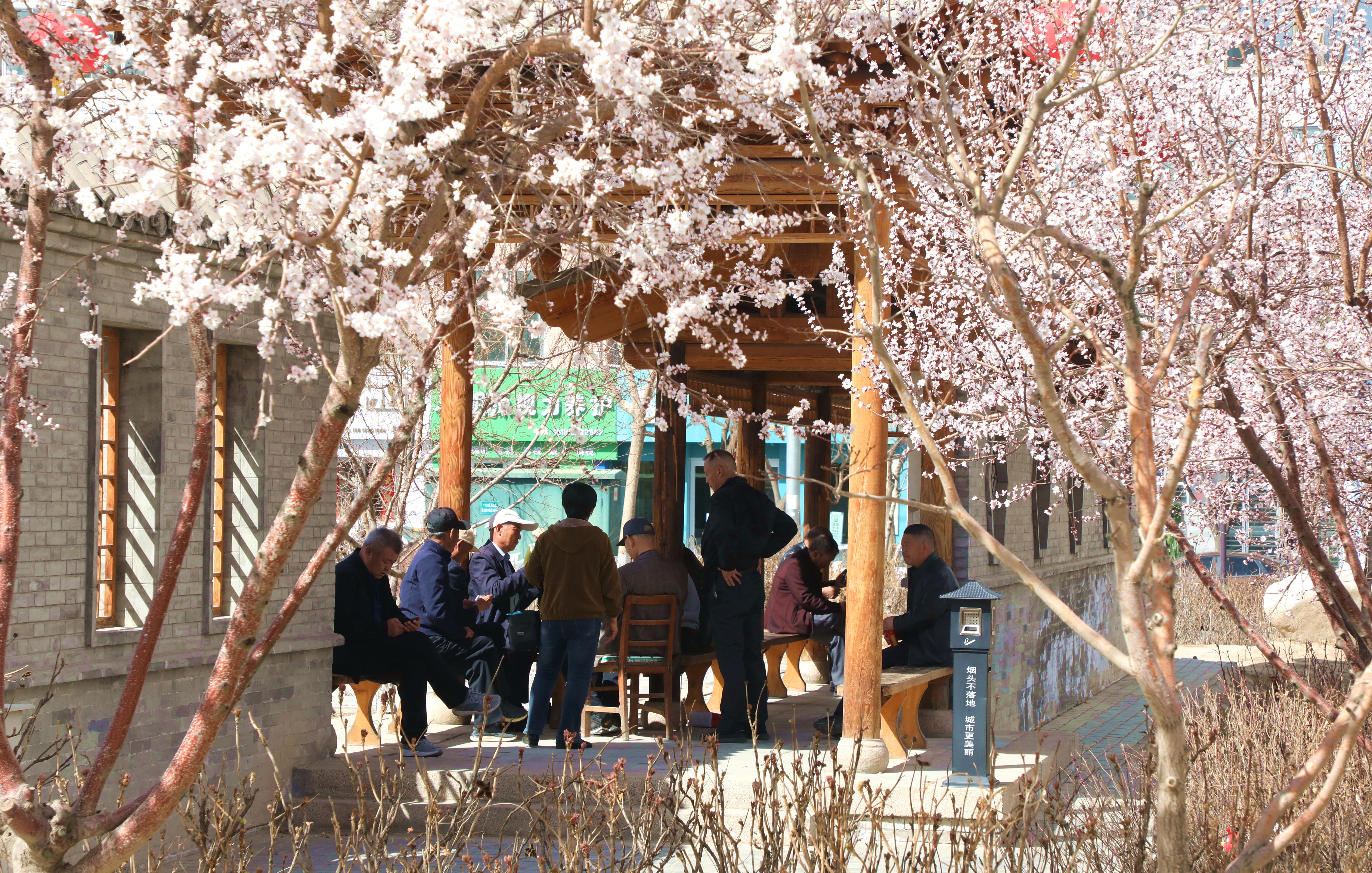 1711589913366030199.jpg bbea64e92ab3cbca86763cf8a52b0c85_151d44e0-6d2c-45ad-a828-759731cb7dd0.jpg