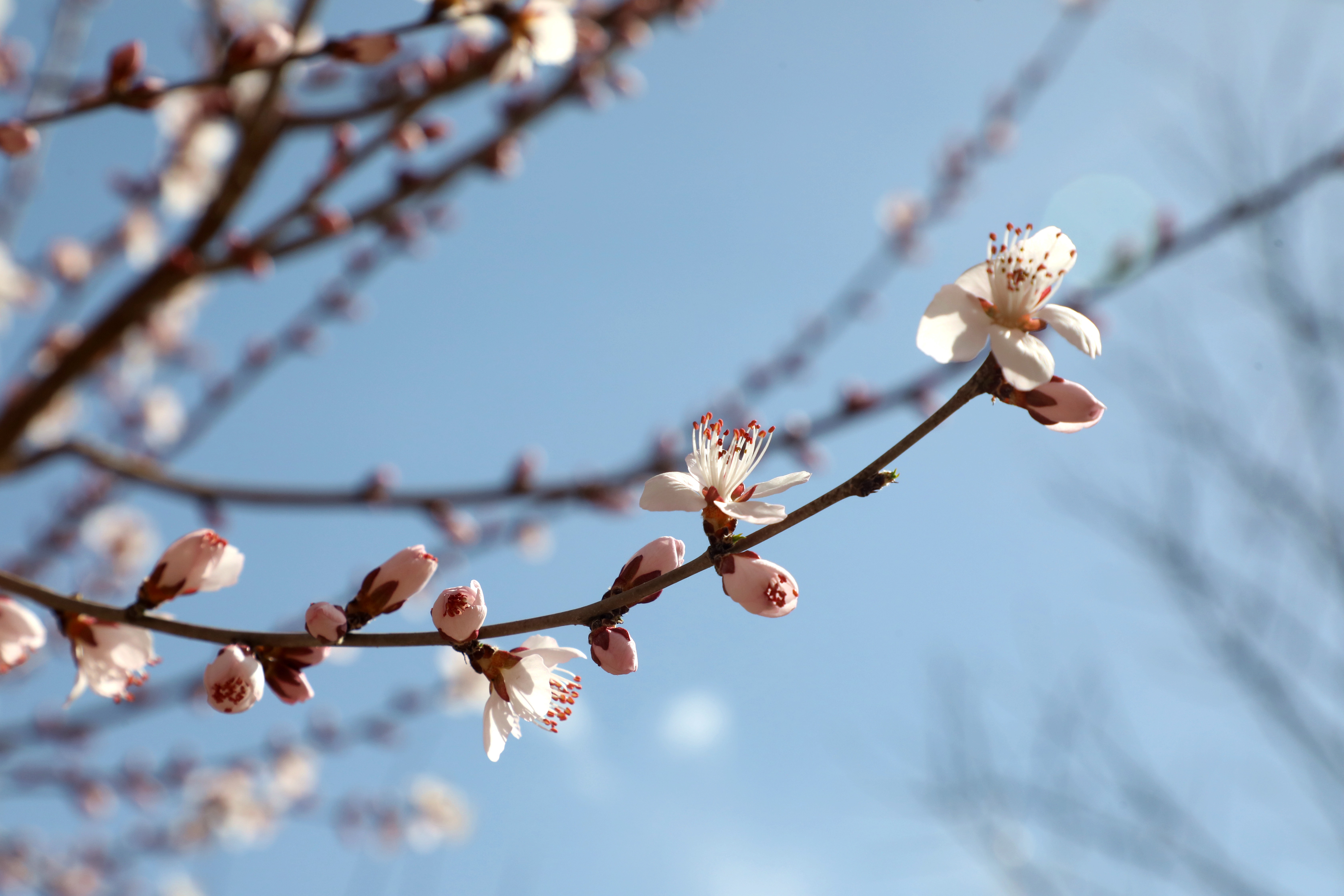 1711589859586005849.jpg 7ac22ffb1b783efcac307701c1de9464_c06a9bf2-f2fa-4725-ab9e-ee5f634a8555.jpg