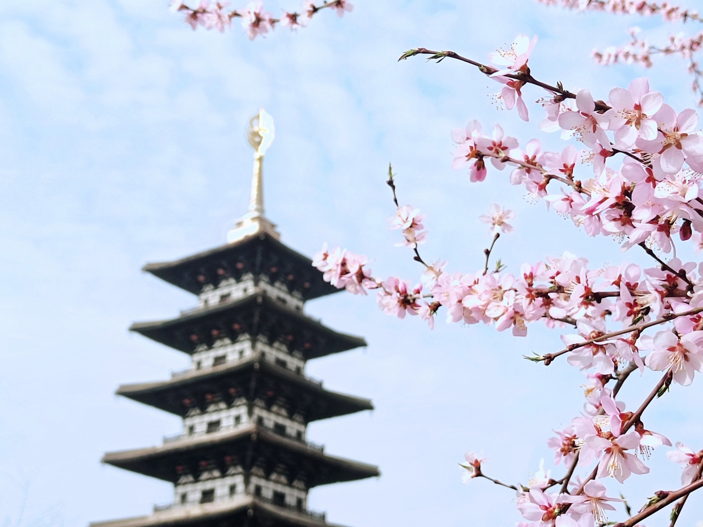 1711588558493076998.jpg a6a2b3165da3ea079b30dd8ca764874d_d1c6a549453343e19f7d3ff1d9dba4fb_h=1025&w=1366.jpg