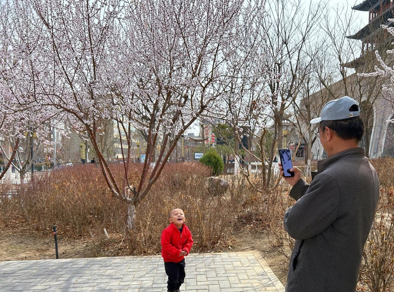 1711592612423057176.jpg 1711592612423057176.jpg