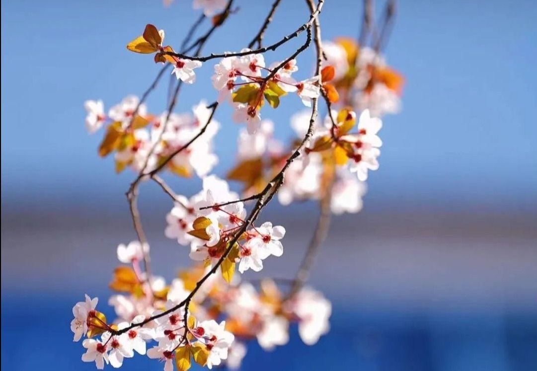 1711589536481011344.jpeg 1711589536481011344.jpeg