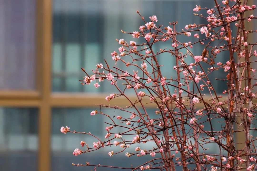 1711595900831018453.jpg bc3820b62041c815f64e93363642b291_1711527008632051642_h=720&w=1080.jpg