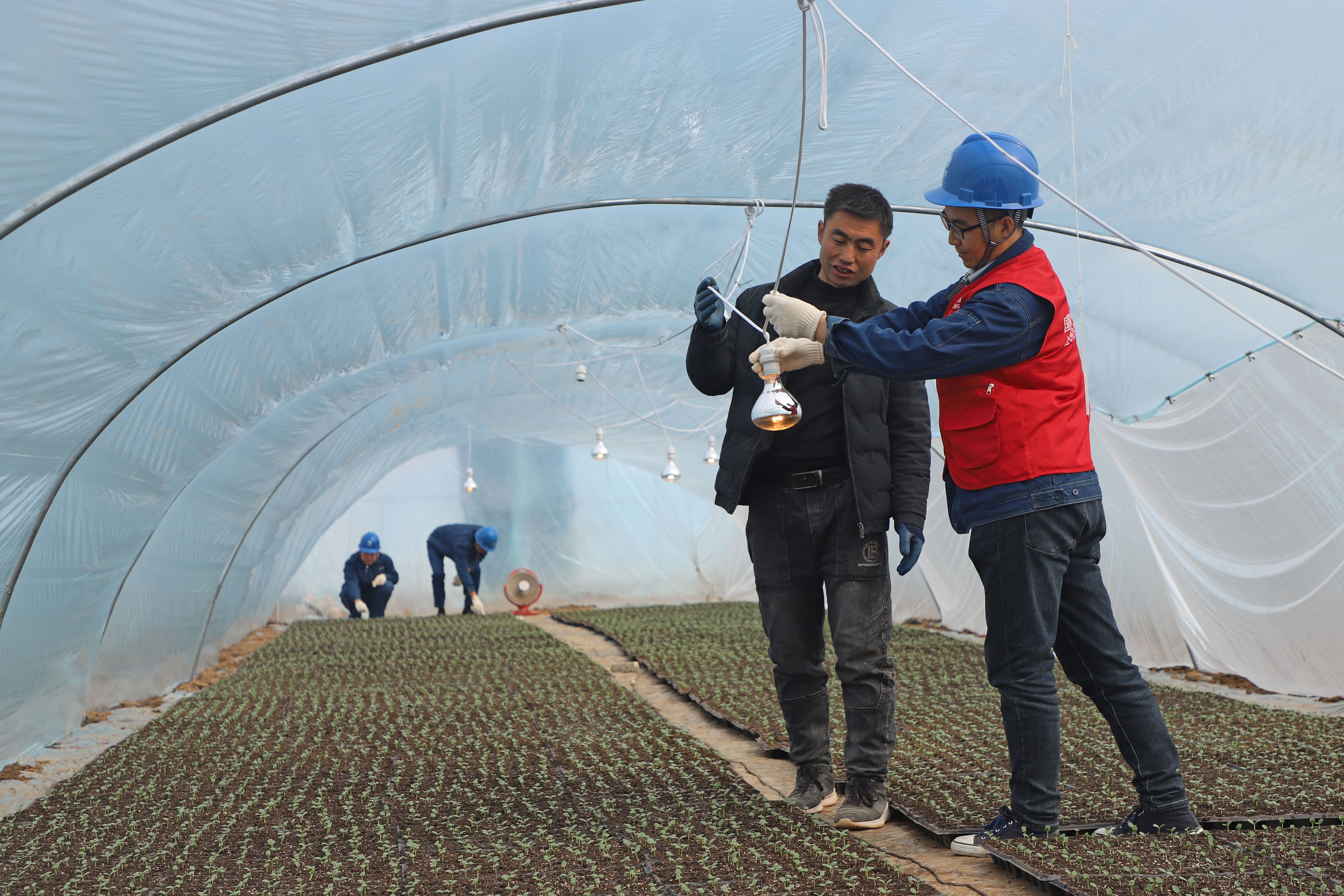 微信图片_20230308122033