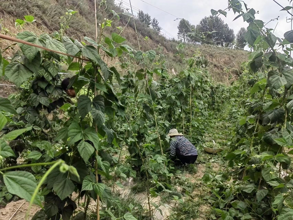 8bbd2a68cd6f4838b4b374dc546af959