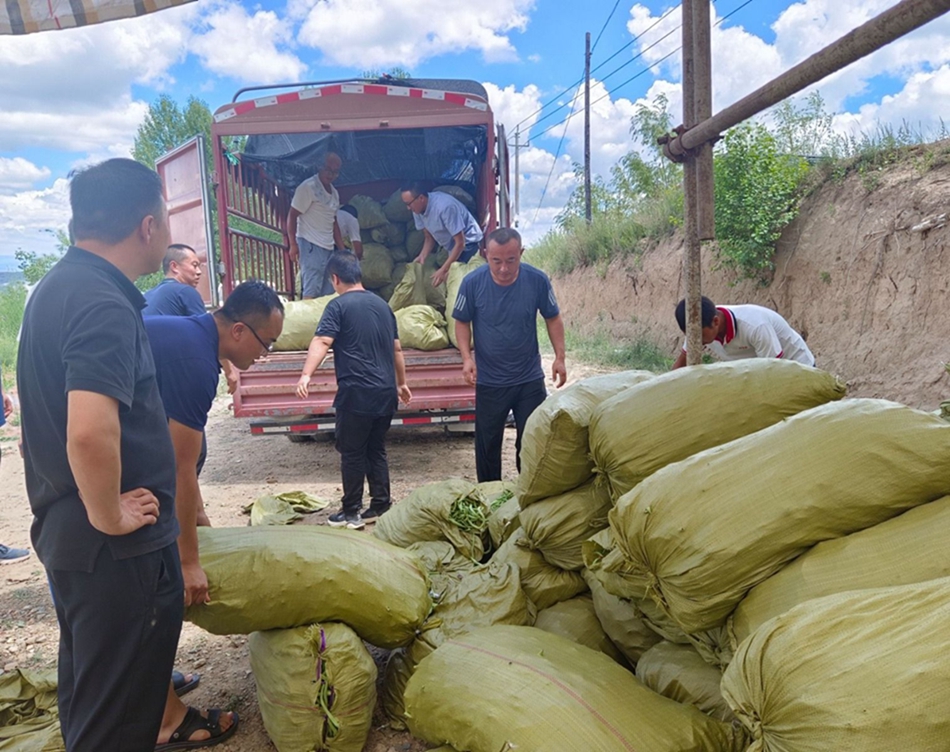 83a726c3f7cf4a409e01ef49dddf3f00.jpg 83a726c3f7cf4a409e01ef49dddf3f00.jpg