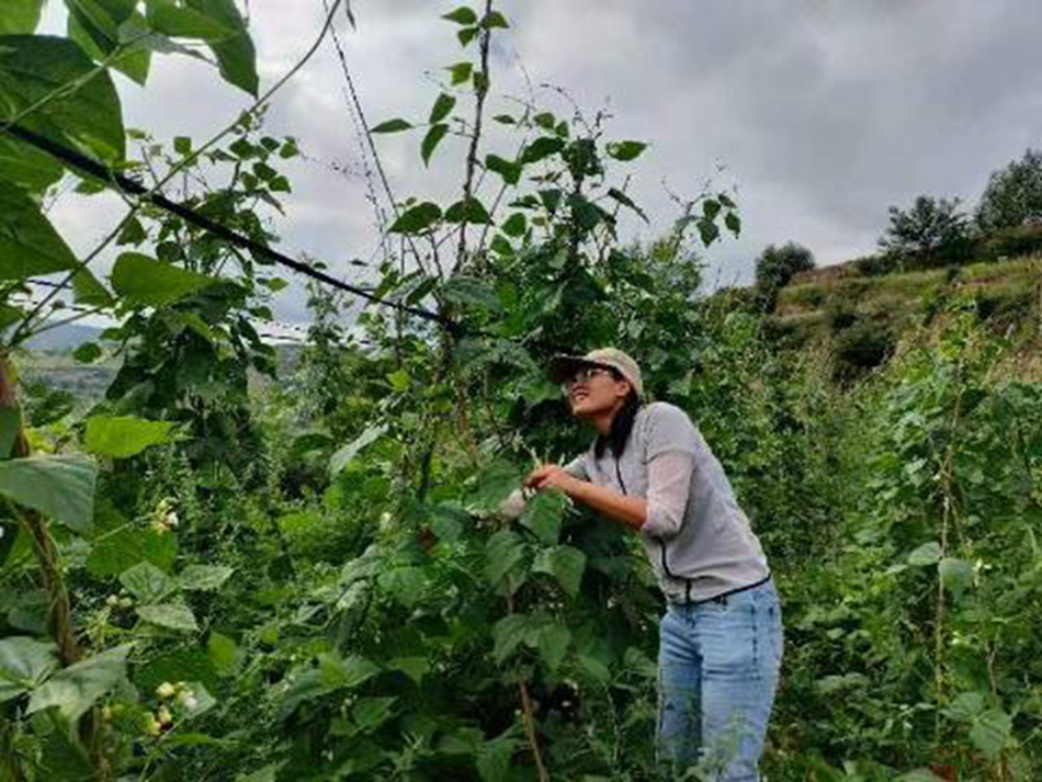 65954ac019a84752aaf2b075c074e0a2_s