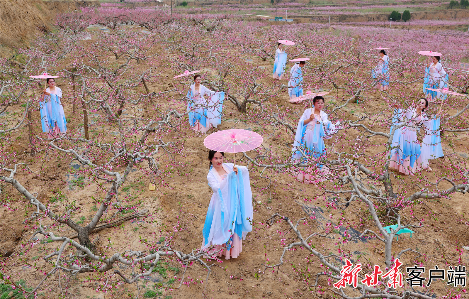 FZ007231318300_A4433465