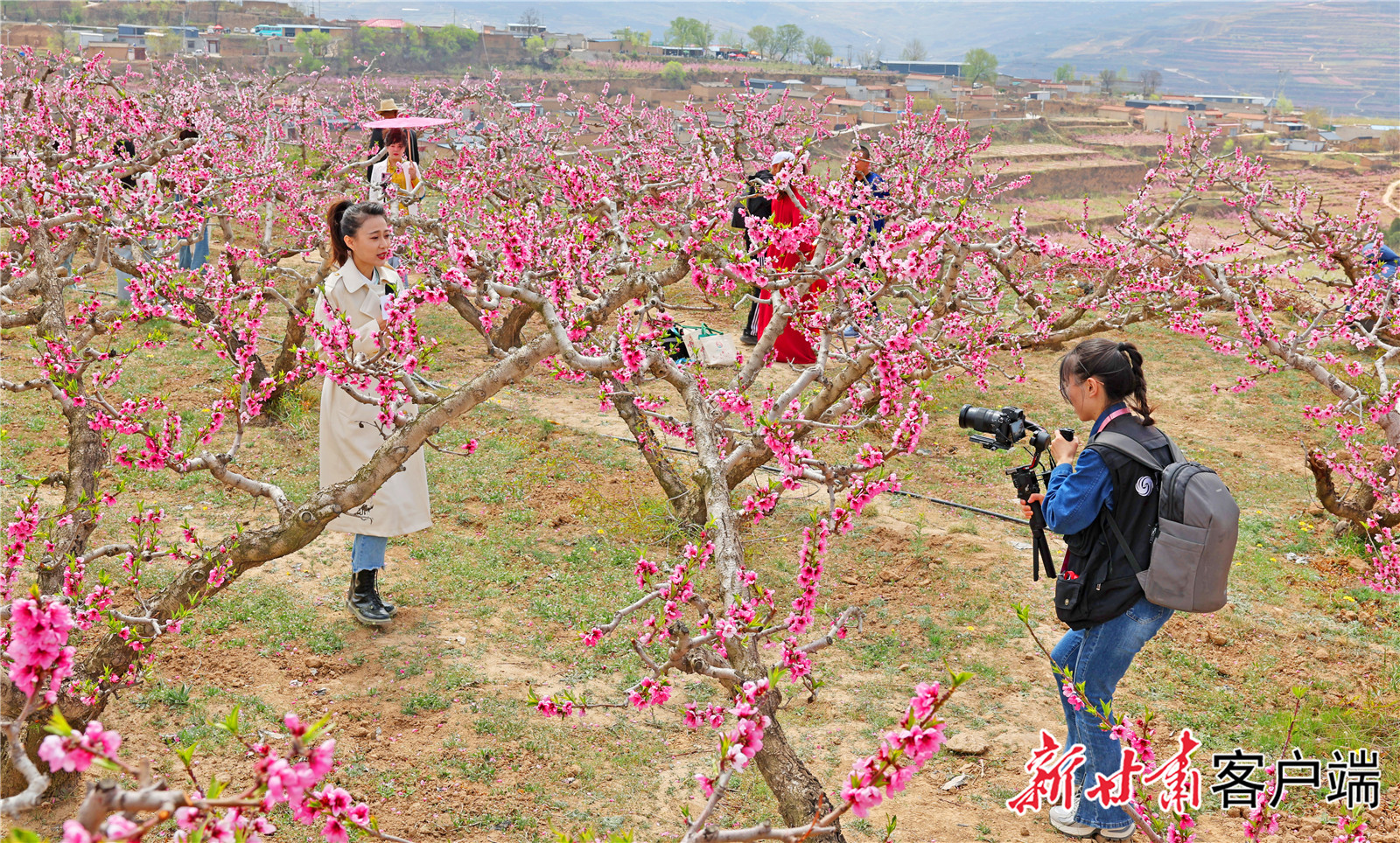 FZ007231318300_A4433466