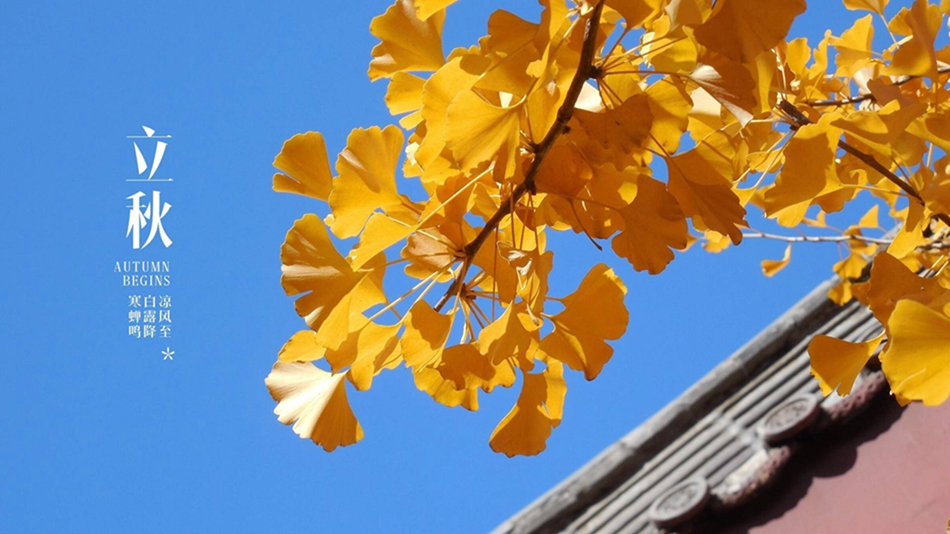 50300f8c7cfe41e2a101da2000590e1c_th